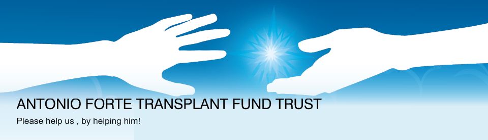 Forte Trust Fund